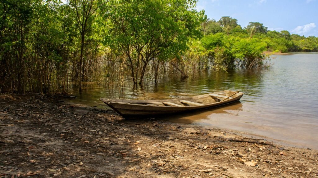 De Rio à l’Amazonie