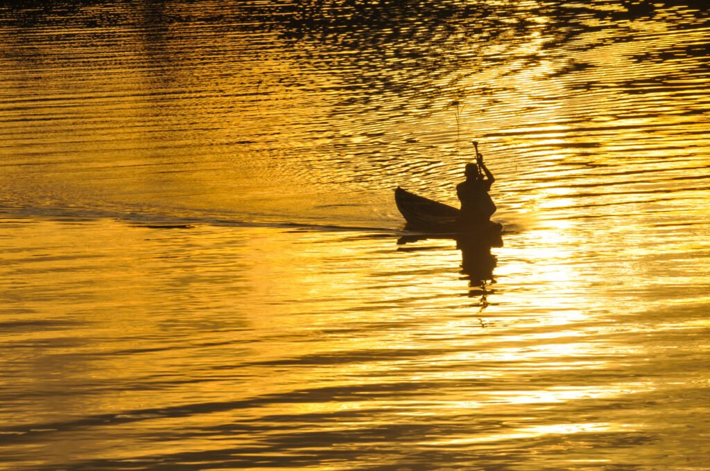Sentir l'Amazonie