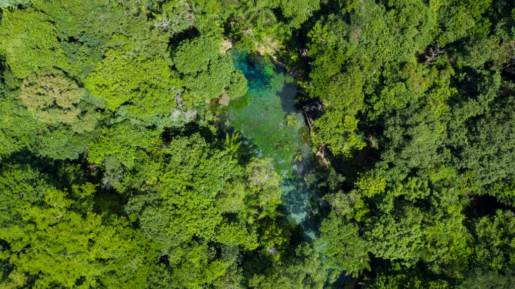 Pantanal Nord et Pantanal Sud: lequel choisir?