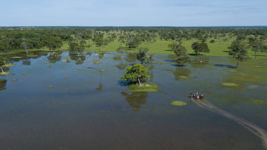 Comprendre le Pantanal