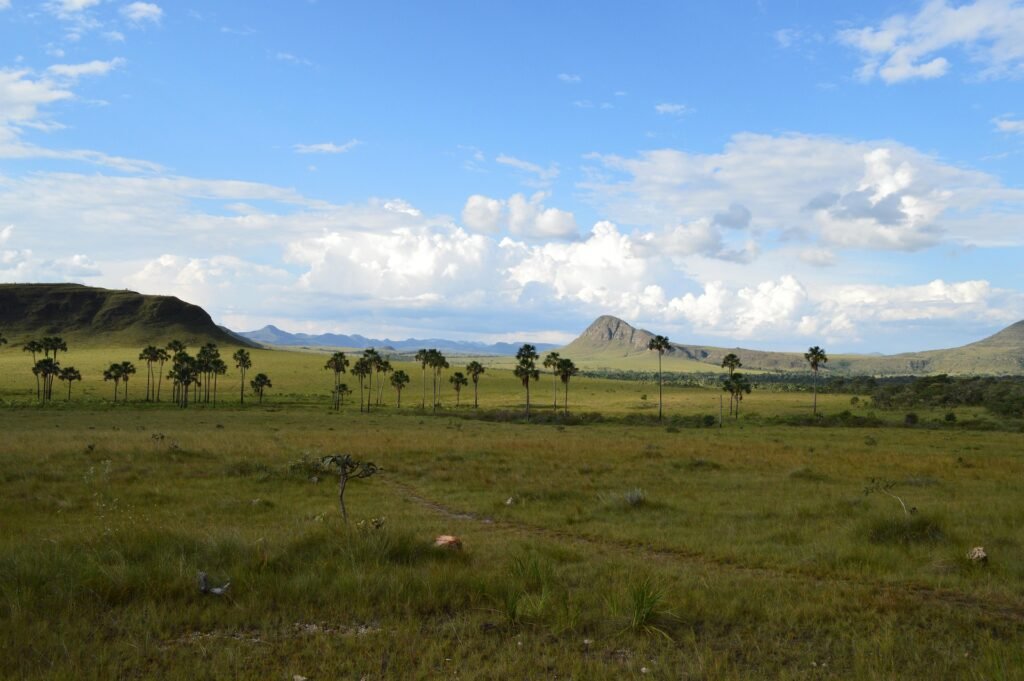 Les Alentours de Brasília : Le Cerrado à Portée de Main